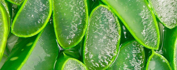 ACTIVALOE™ - THE ENHANCED ALOE VERA